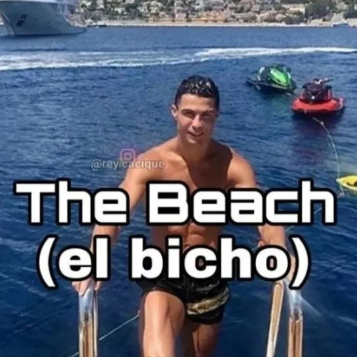La liga del bicho siuuuuu